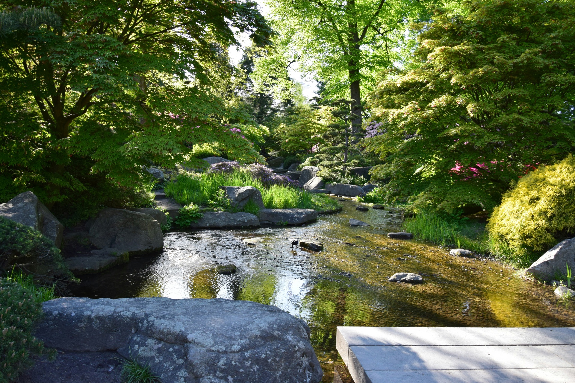 Jardim com um ribeiro, pedras e árvores iluminadas pelo sol